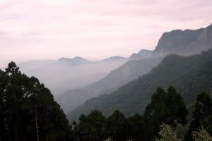 Accessing the best of Alishan Inaccessible Road 159