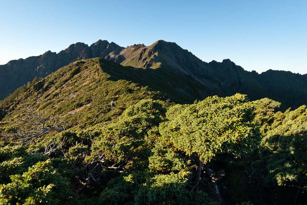 Yushan National Park Life Of Taiwan