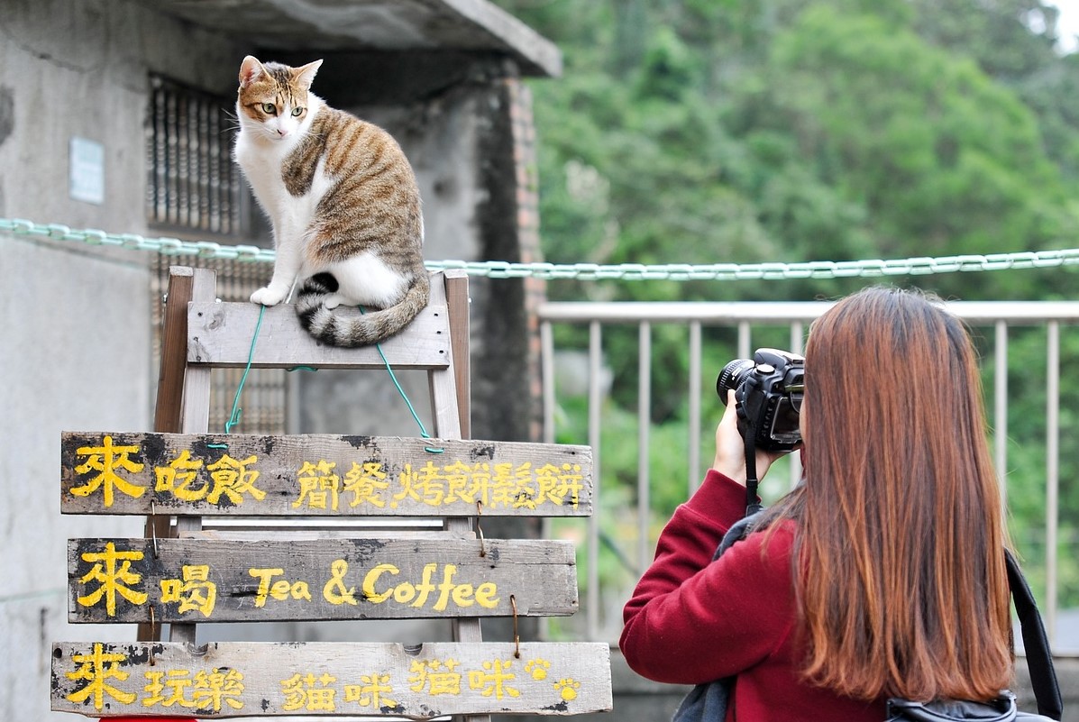 Houtong Cat Village, Taiwan