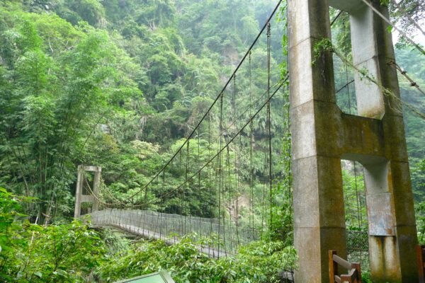 Mid-elevation hiking trail in Chiayi County, Taiwan