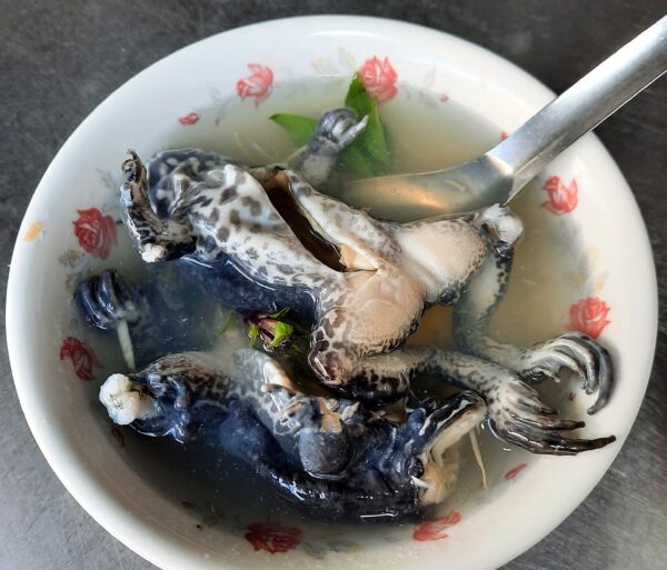 Frog soup, Beigang, Chiayi